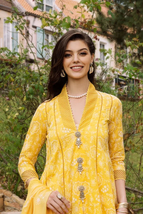 GOLD MEADOW